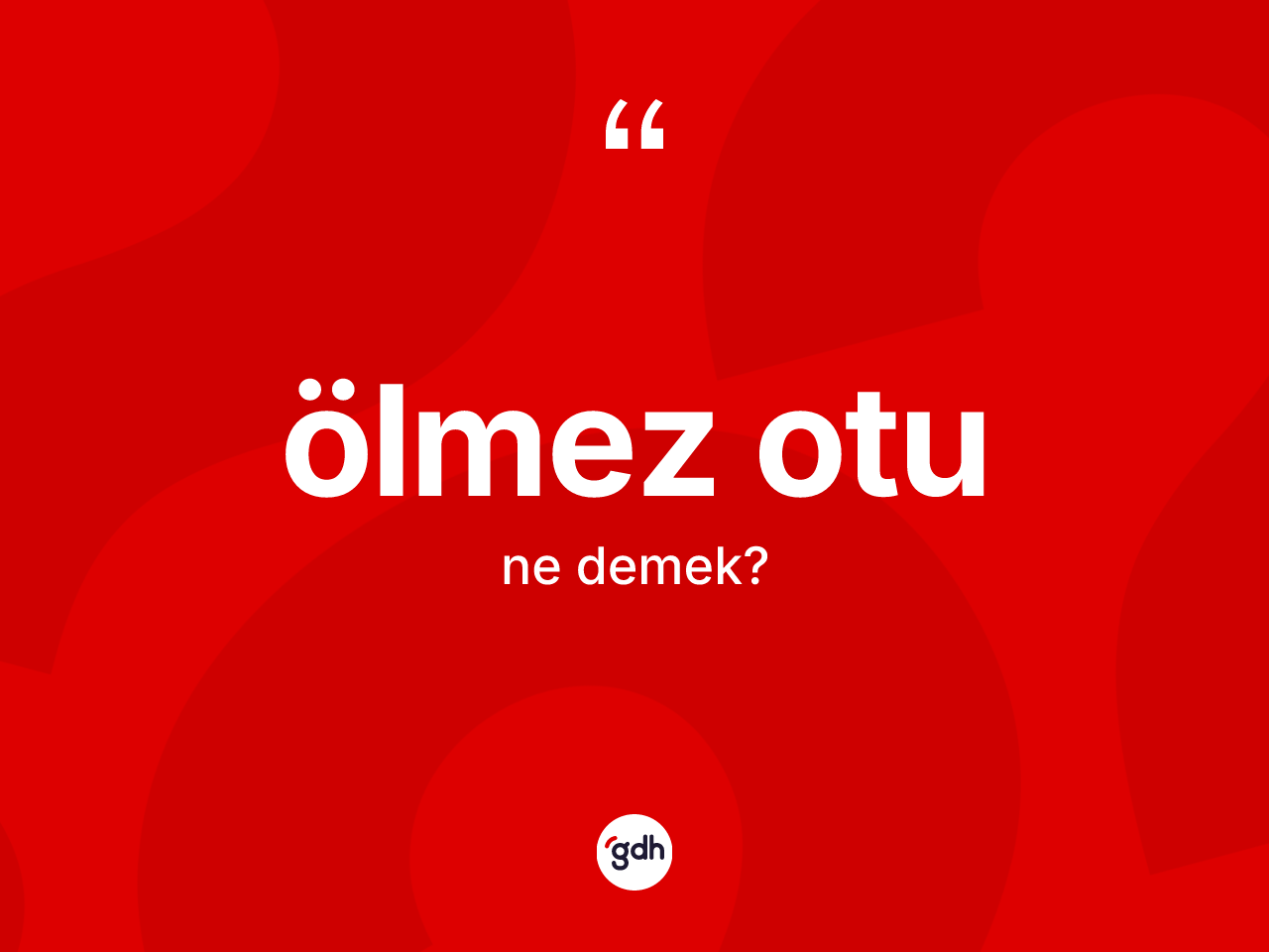 Ölmez otu ne demek? Ölmez otunun TDK'ya göre anlamı nedir?