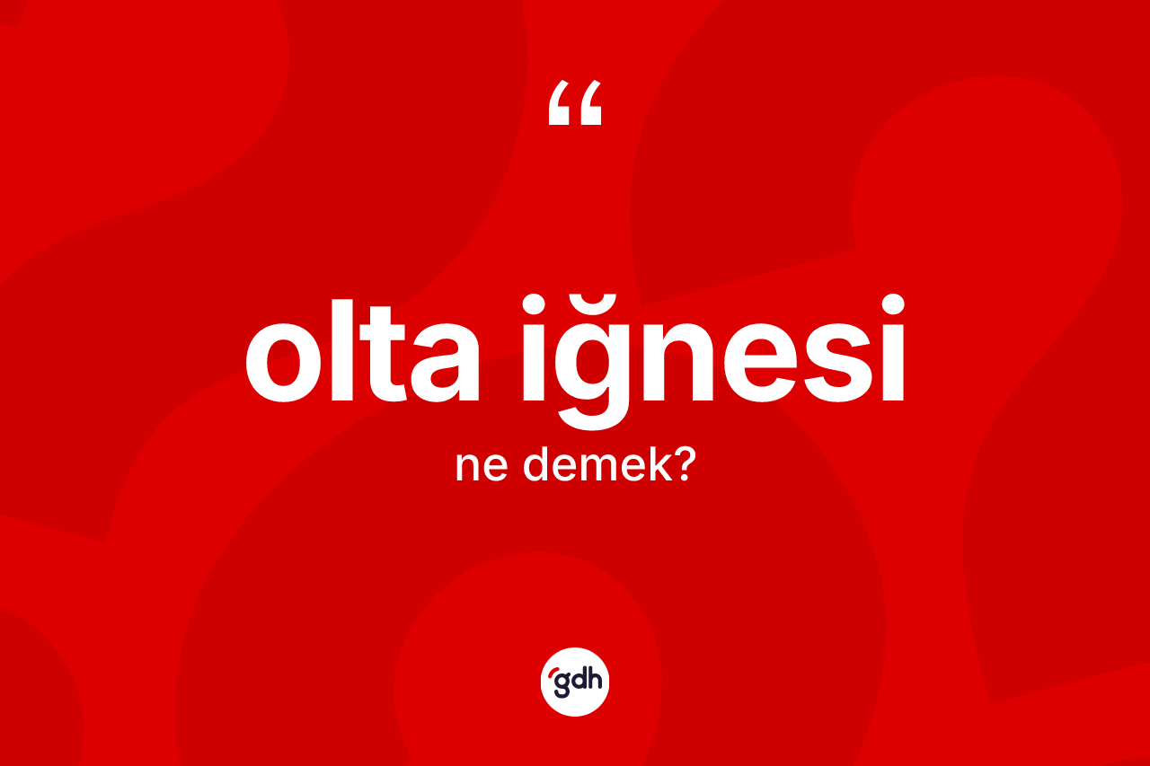 Olta iğnesi kelimesinin sözlükteki tanımı nedir? Olta iğnesinin sözlükteki anlamı nedir?