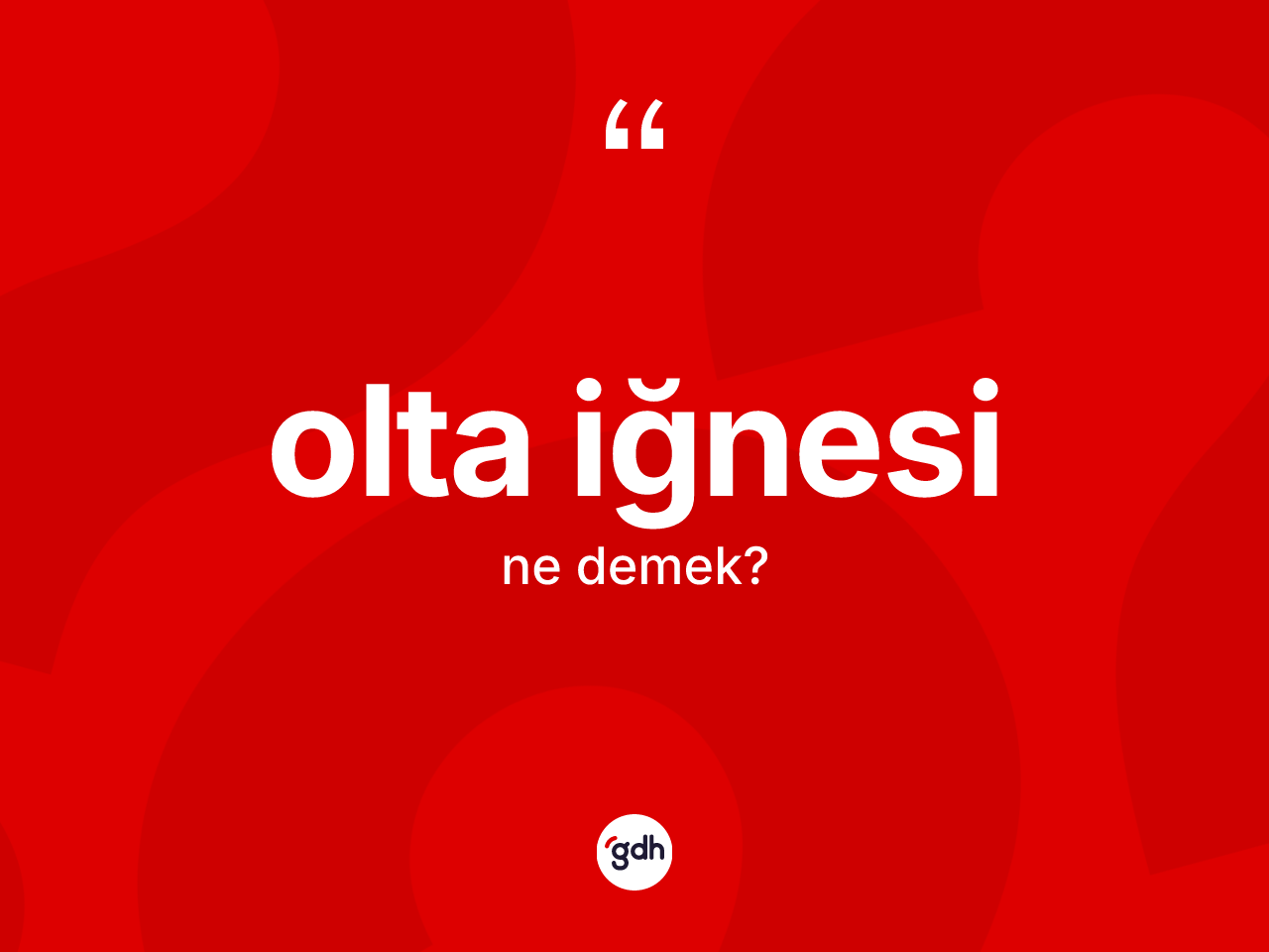 Olta iğnesi kelimesinin sözlükteki tanımı nedir? Olta iğnesinin sözlükteki anlamı nedir?
