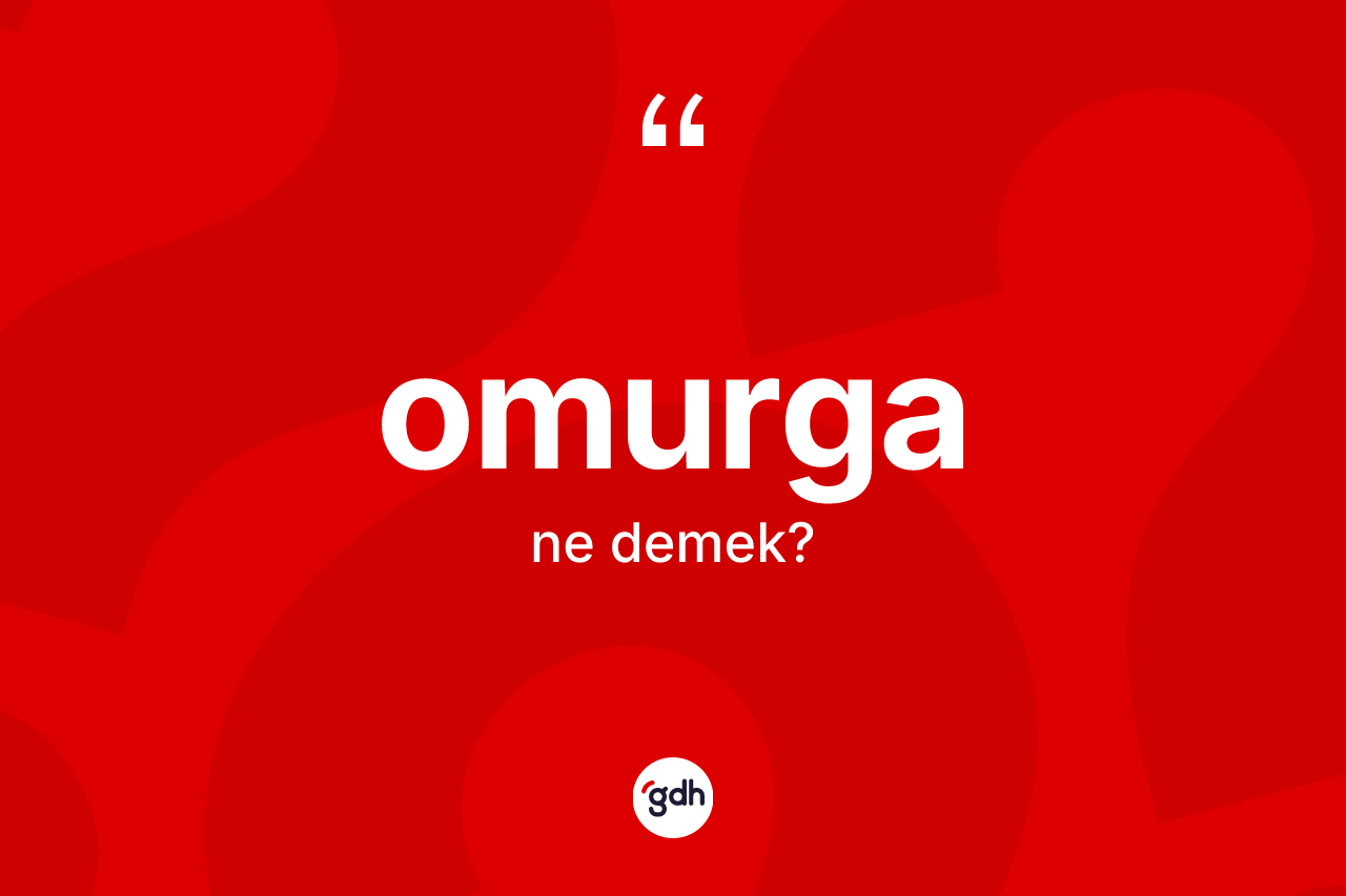 Omurga kelimesi ne demek? Omurganın kısaca tanımı nedir?