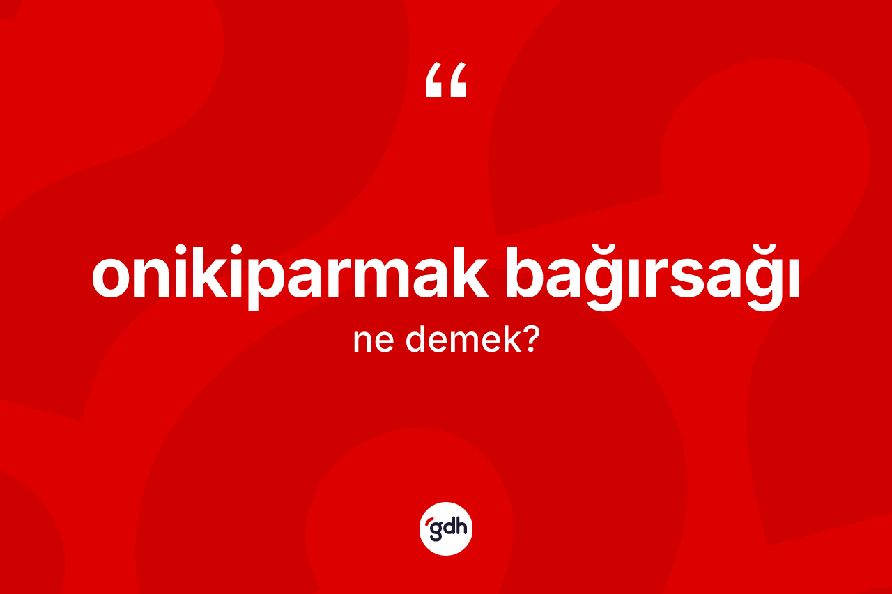 Onikiparmak bağırsağı kelimesinin anlamı nedir? Onikiparmak bağırsağının halk arasındaki kullanımı nasıldır?