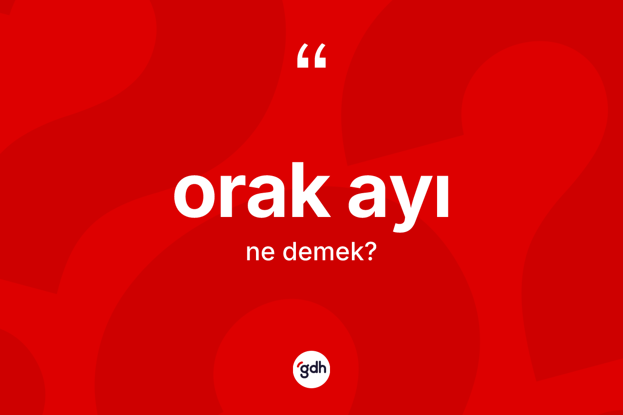 Orak ayı kelimesi nedir? Orak ayının TDK'ya göre anlamı nedir?