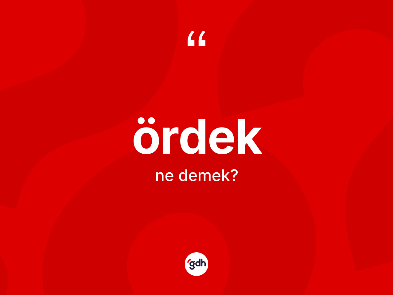 Ördek kelimesi ne demek? Ördeğin TDK'ya göre anlamı nedir?