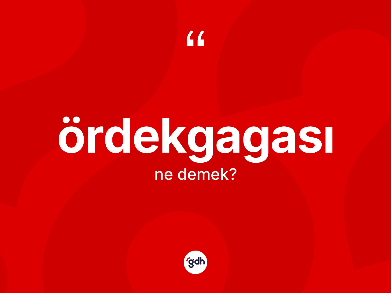Ördekgagası kelimesi ne anlama gelir? Ördekgagasının TDK'ya göre anlamı nedir?