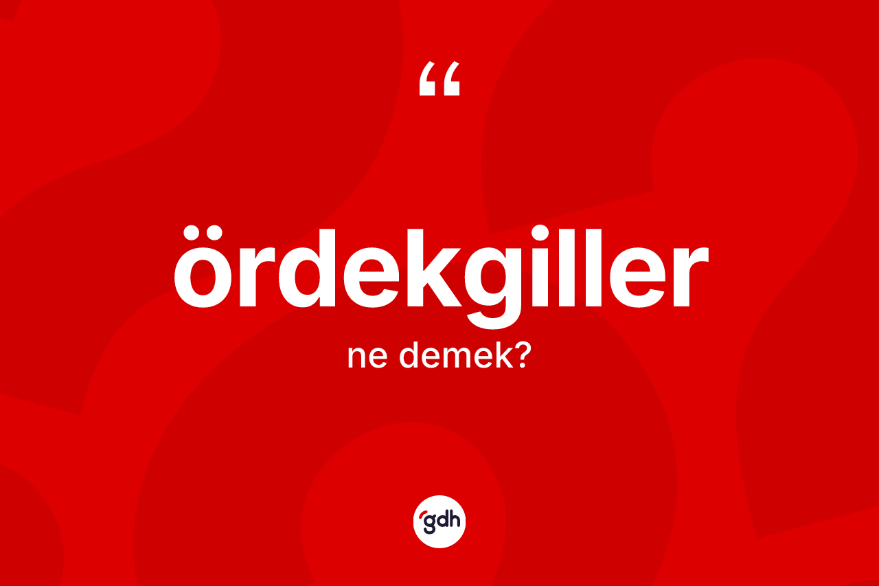Ördekgiller kelimesi ne anlama gelir? Ördekgiller kelimesinin kaç farklı anlamı var?