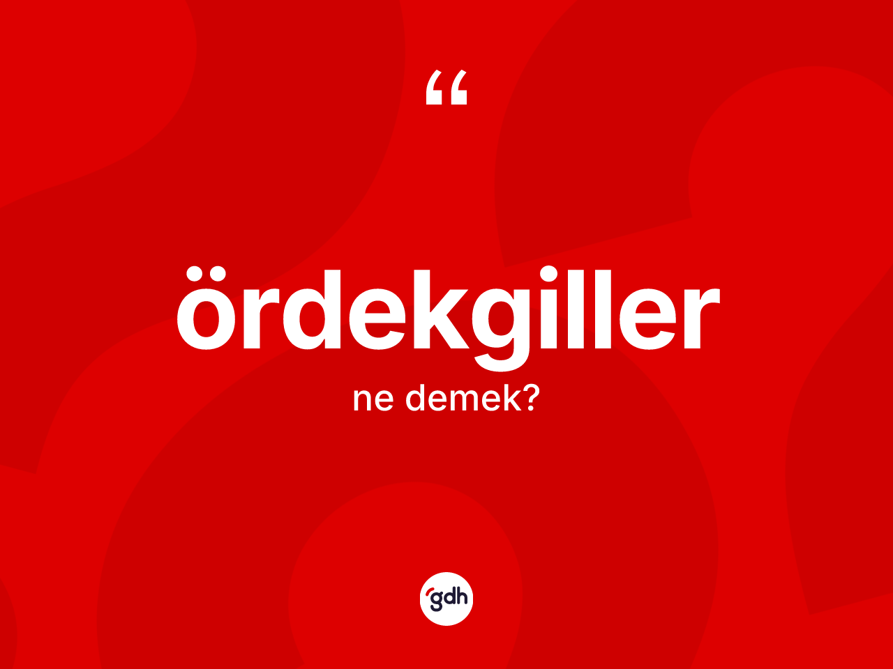 Ördekgiller kelimesi ne anlama gelir? Ördekgiller kelimesinin kaç farklı anlamı var?