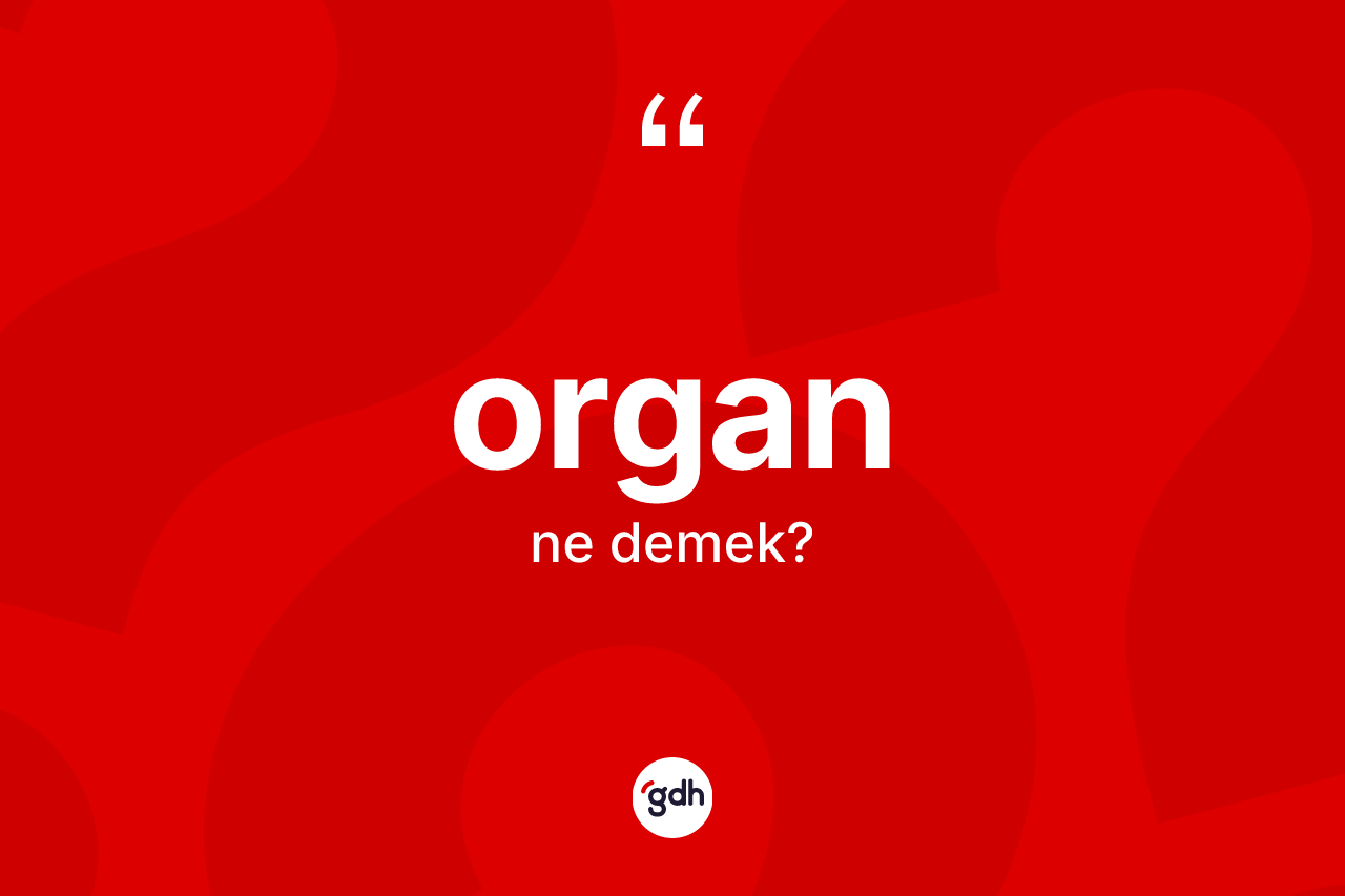Organ kelimesinin tanımı nedir? Organın TDK'ya göre anlamı nedir?
