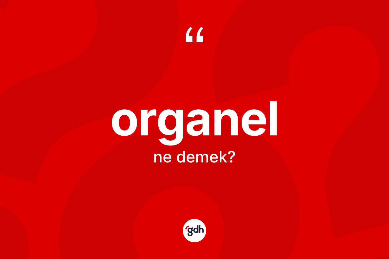 Organel kelimesi ne anlama gelir? Organel kelimesinin TDK anlamı nedir?