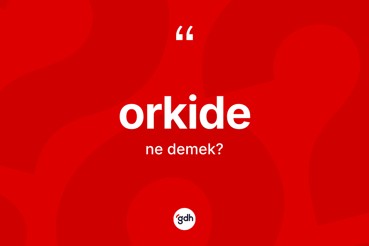 Orkide kelimesi ne demek? Orkidenin TDK'ya göre anlamı nedir?