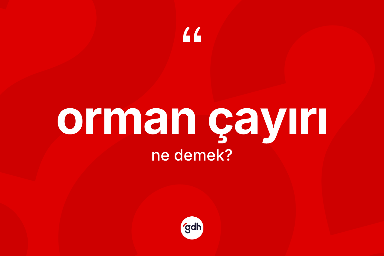 Orman çayırı kelimesinin sözlükteki tanımı nedir? Orman çayırının TDK'ya göre anlamı nedir?
