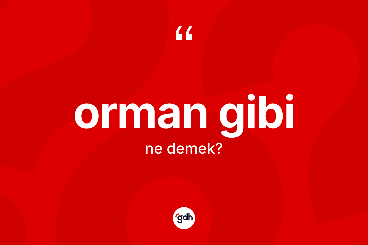 Orman gibi ne demek? Orman gibi ifadesinin özellikleri nelerdir?