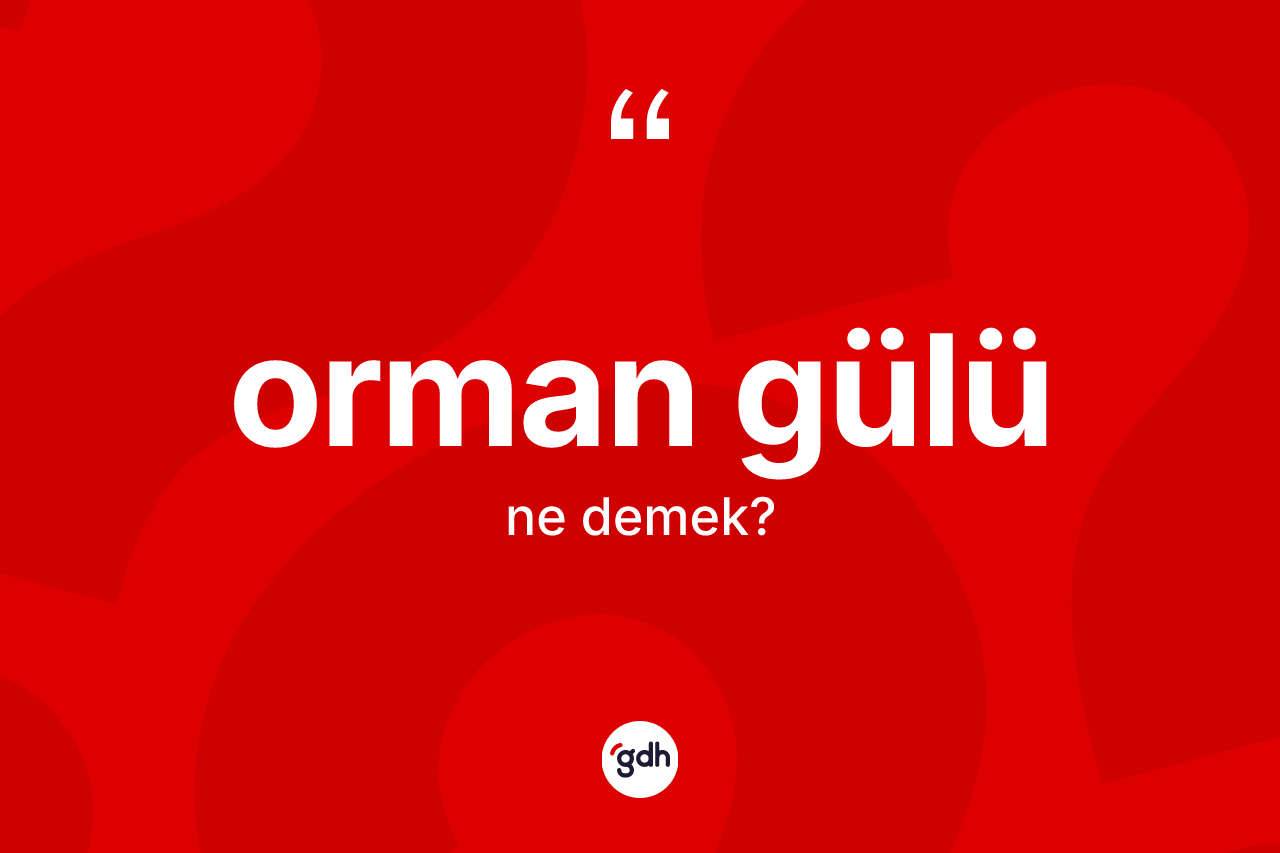Orman gülü ne anlama gelir? Orman gülünün TDK'ya göre anlamı nedir?