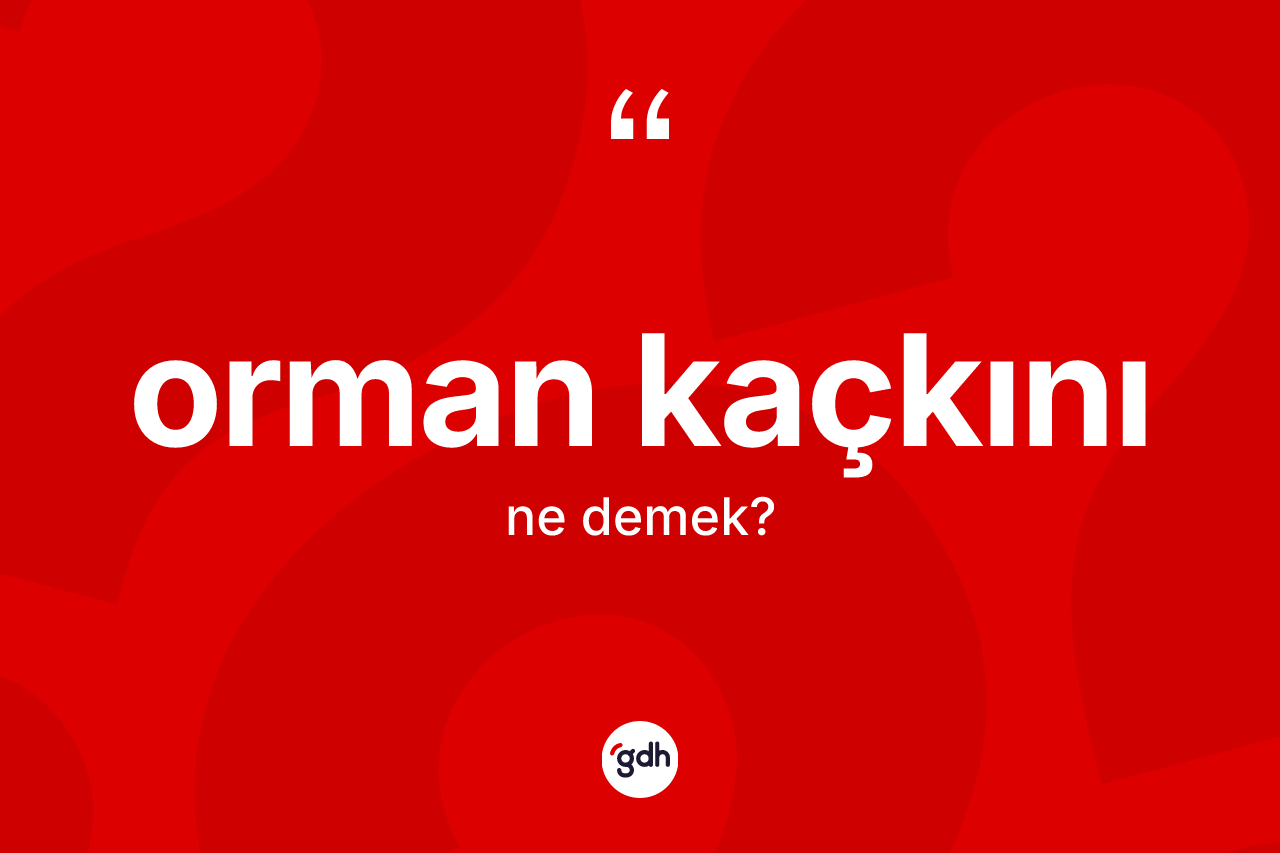 Orman kaçkını kelimesinin tanımı nedir? Orman kaçkınının sözlükteki anlamı nedir?