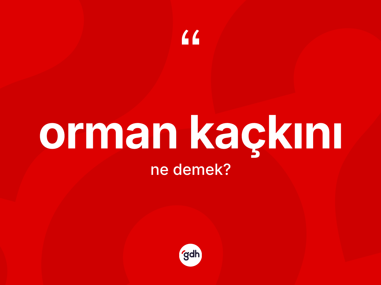 Orman kaçkını kelimesinin tanımı nedir? Orman kaçkınının sözlükteki anlamı nedir?