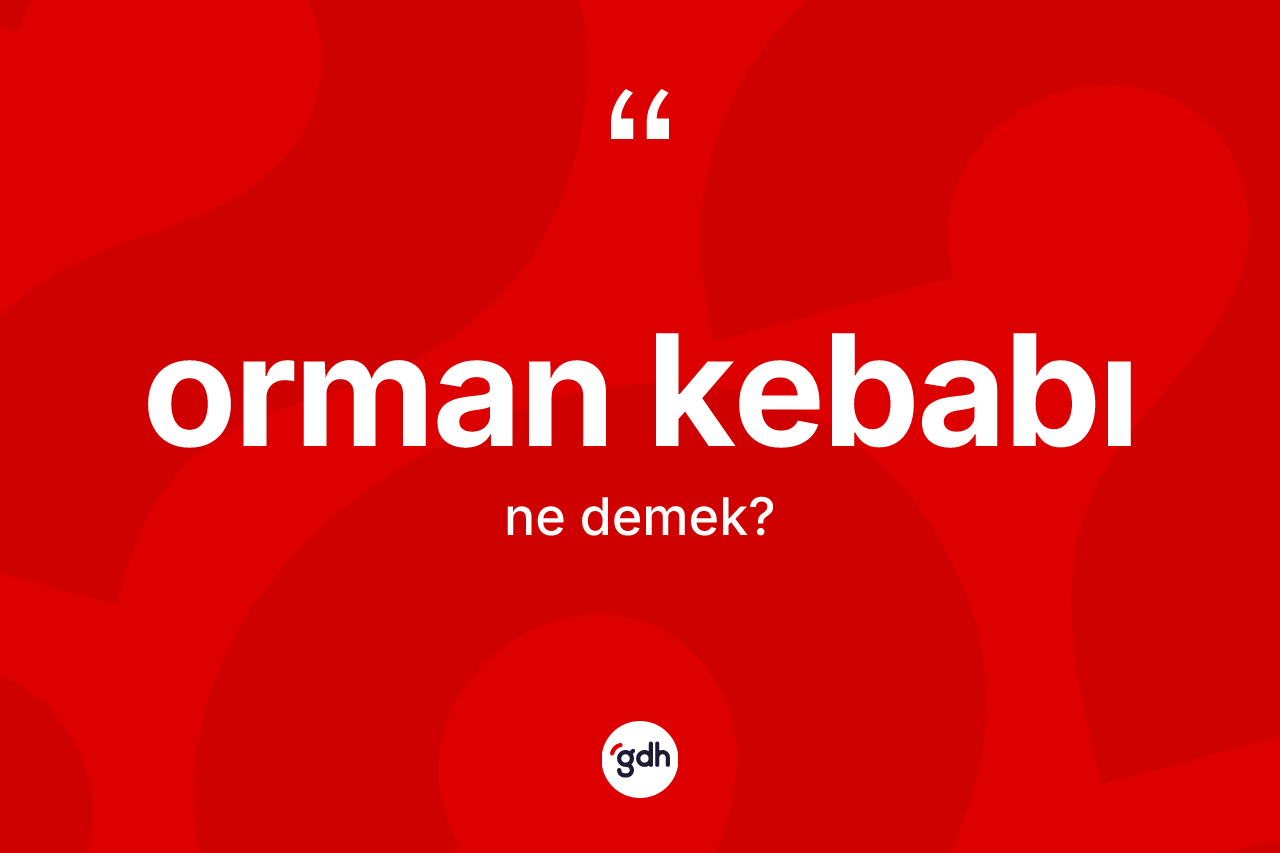 Orman kebabı kelimesinin sözlükteki tanımı nedir? Orman kebabının TDK'ya göre anlamı nedir?
