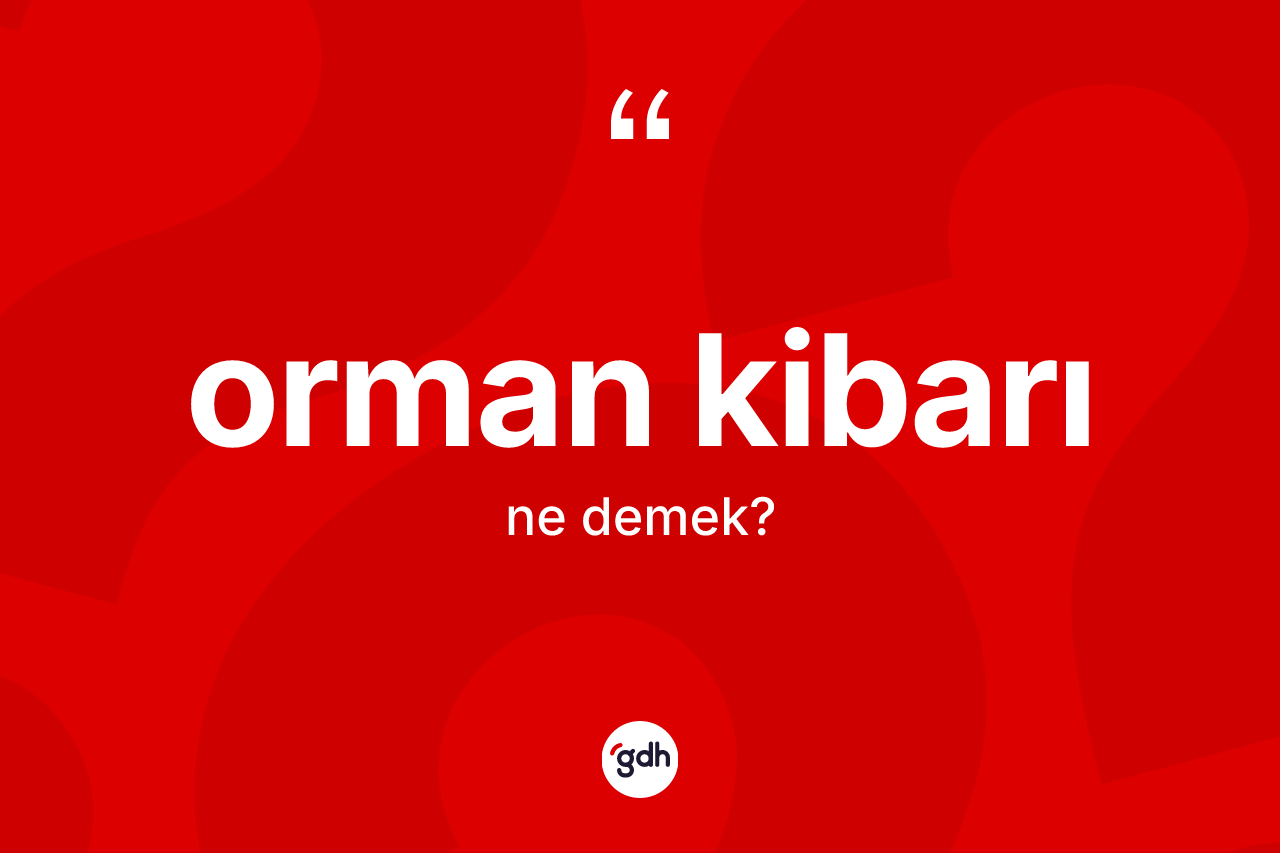 Orman kibarı kelimesi ne demek? Orman kibarının kısaca tanımı nedir?