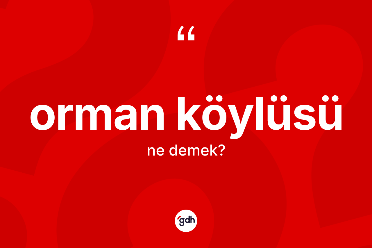 Orman köylüsü ne anlama gelir? Orman köylüsünün TDK'ya göre anlamı nedir?