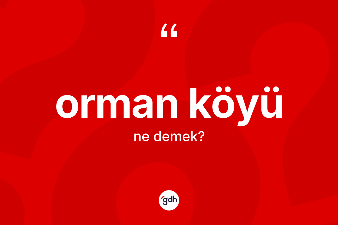 Orman köyü ne anlama gelir? Orman köyünün TDK'ya göre anlamı nedir?
