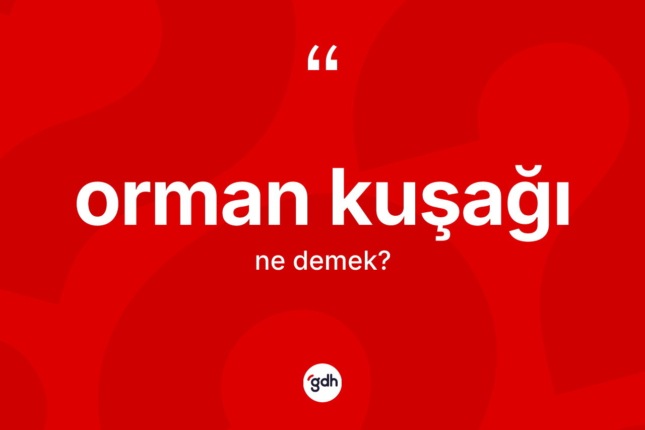 Orman kuşağı kelimesi nedir? Orman kuşağının TDK'ya göre anlamı nedir?