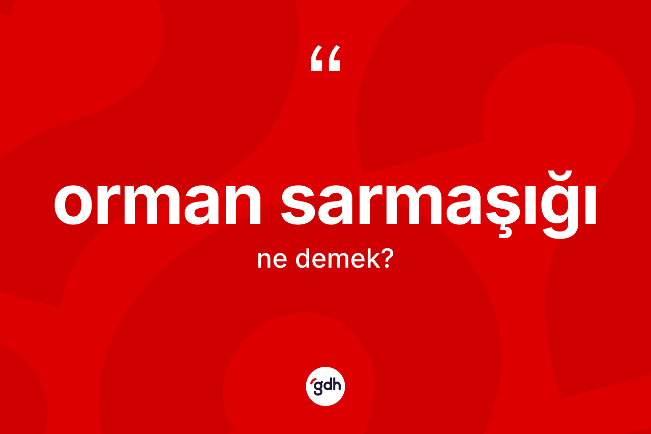 Orman sarmaşığı ne demek? Orman sarmaşığının kısaca tanımı nedir?