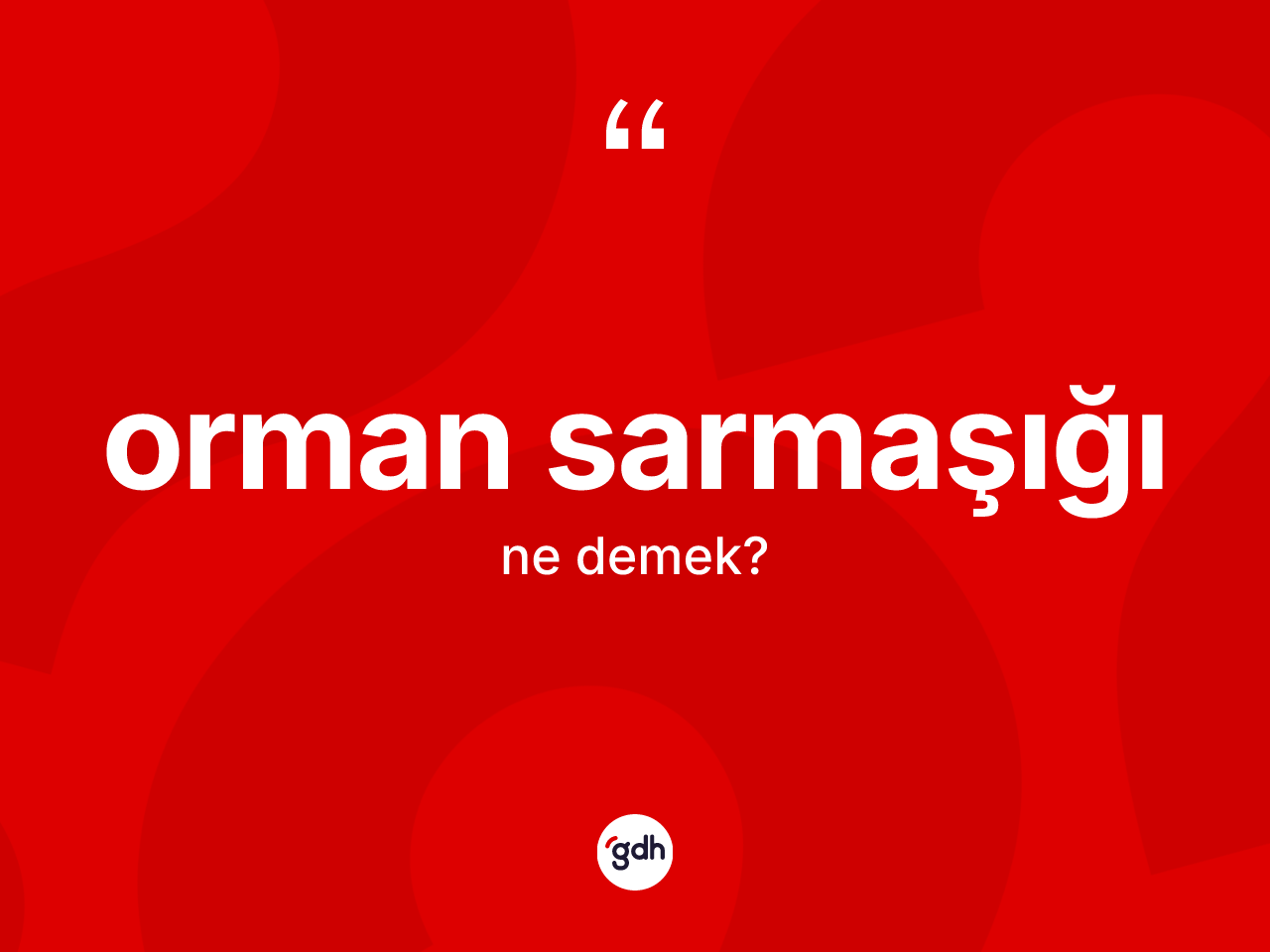 Orman sarmaşığı ne demek? Orman sarmaşığının kısaca tanımı nedir?