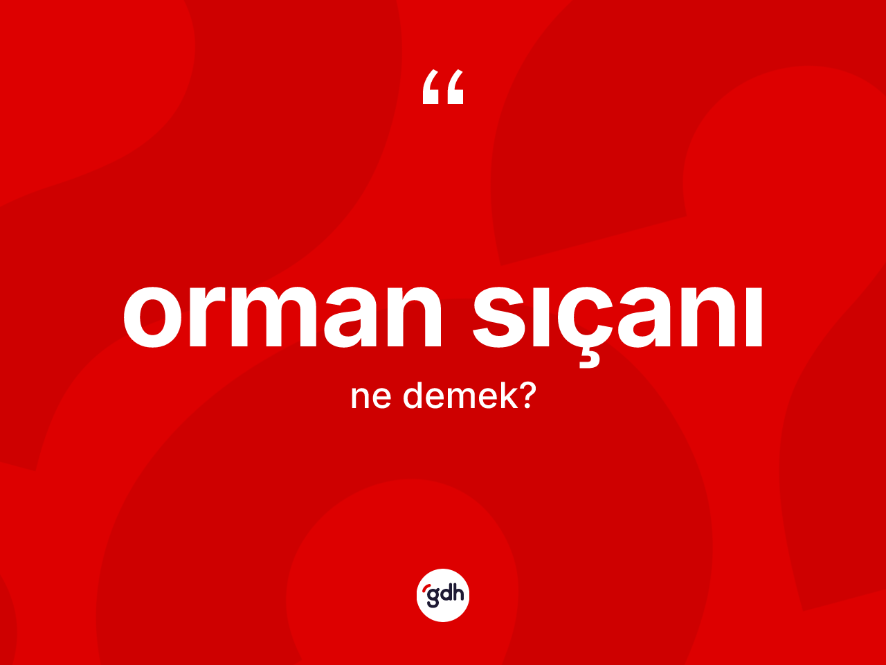 Orman sıçanı kelimesinin sözlükteki tanımı nedir? Orman sıçanının sözlükteki anlamı nedir?