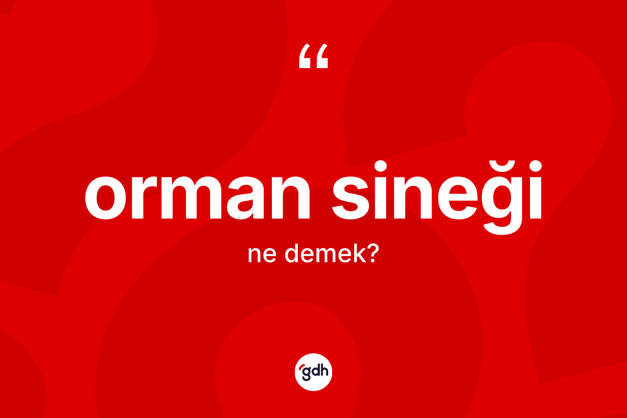Orman sineği  kelimesi ne anlama gelir? Orman sineği  kelimesinin TDK anlamı nedir?