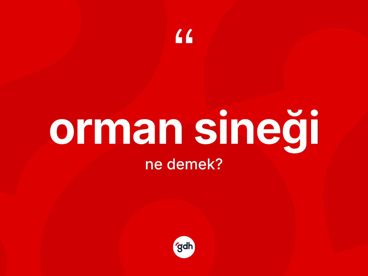 Orman sineği  kelimesi ne anlama gelir? Orman sineği  kelimesinin TDK anlamı nedir?