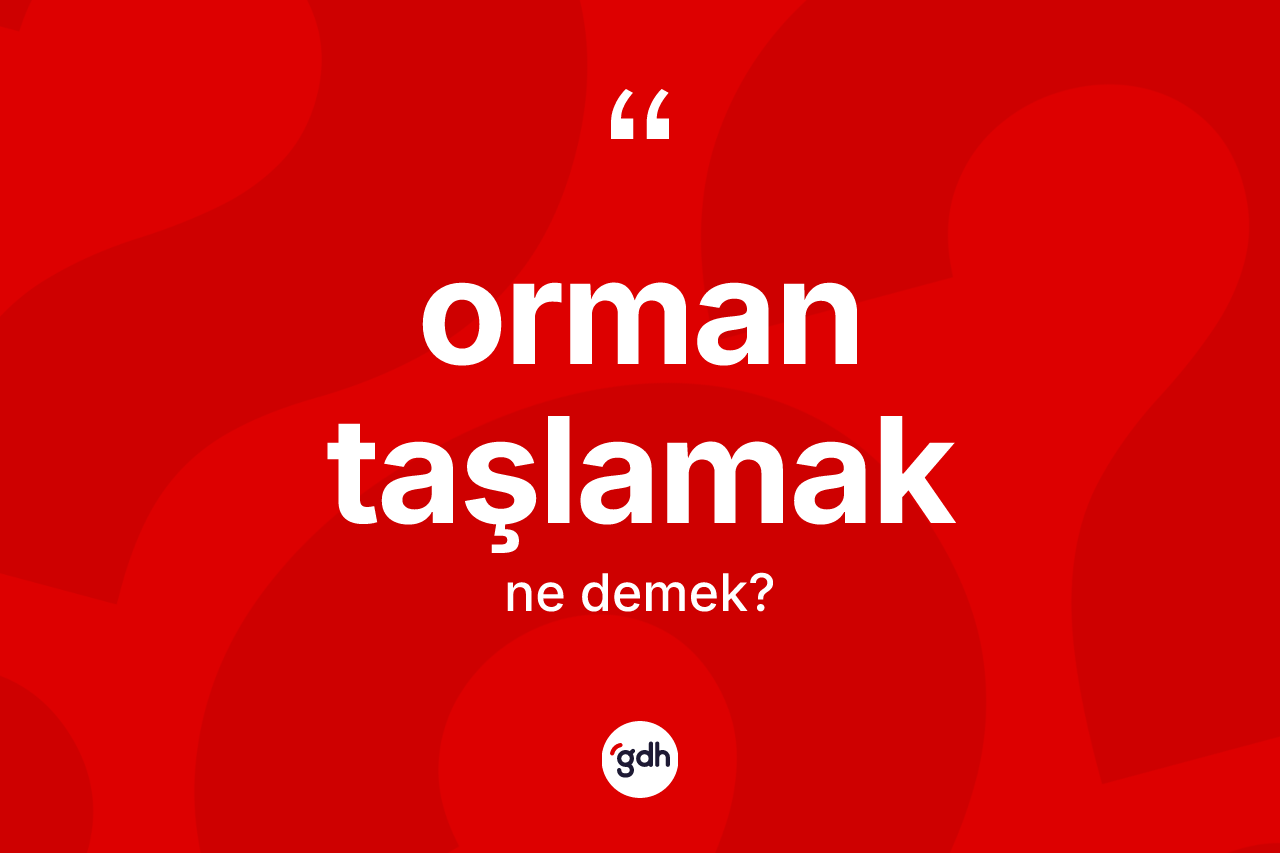 Orman taşlamak ifadesinin anlamı nedir? Orman taşlamak sözünün sözlük anlamı nedir?