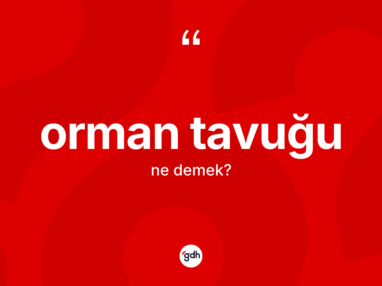 Orman tavuğu kelimesinin anlamı nedir? Orman tavuğunun halk arasındaki kullanımı nasıldır?