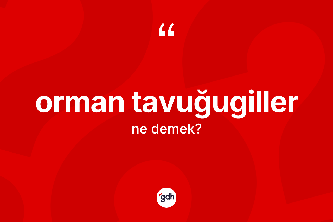 Orman tavuğugiller kelimesinin tanımı nedir? Orman tavuğugillerin TDK'ya göre anlamı nedir?