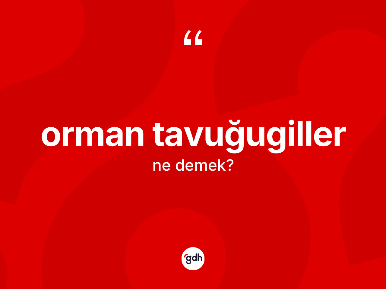 Orman tavuğugiller kelimesinin tanımı nedir? Orman tavuğugillerin TDK'ya göre anlamı nedir?