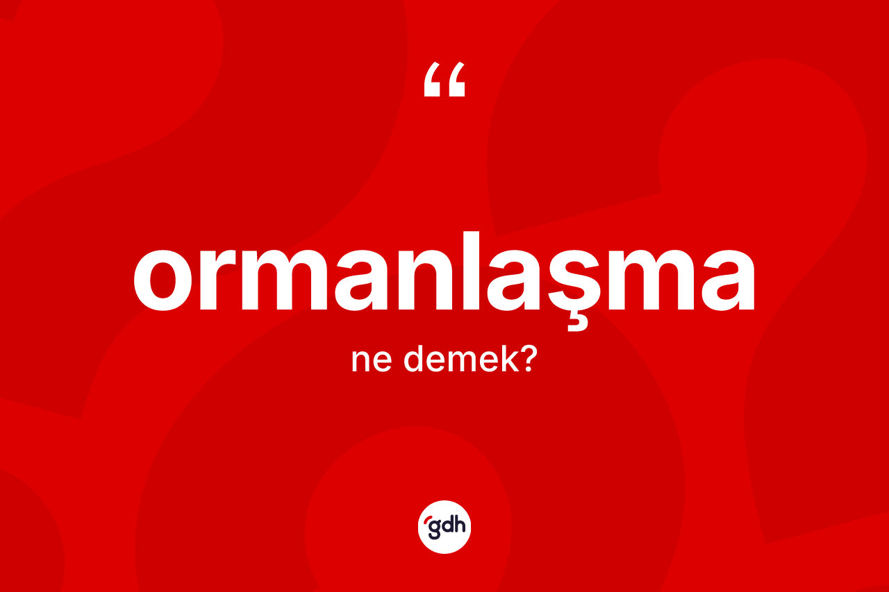 Ormanlaşma ne anlama gelir? Ormanlaşma kelimesinin özellikleri nelerdir?