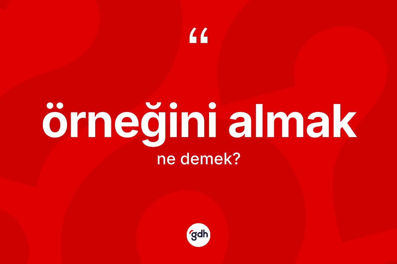 Örneğini almak nedir? Örneğini almak ifadesinin TDK anlamı nedir?
