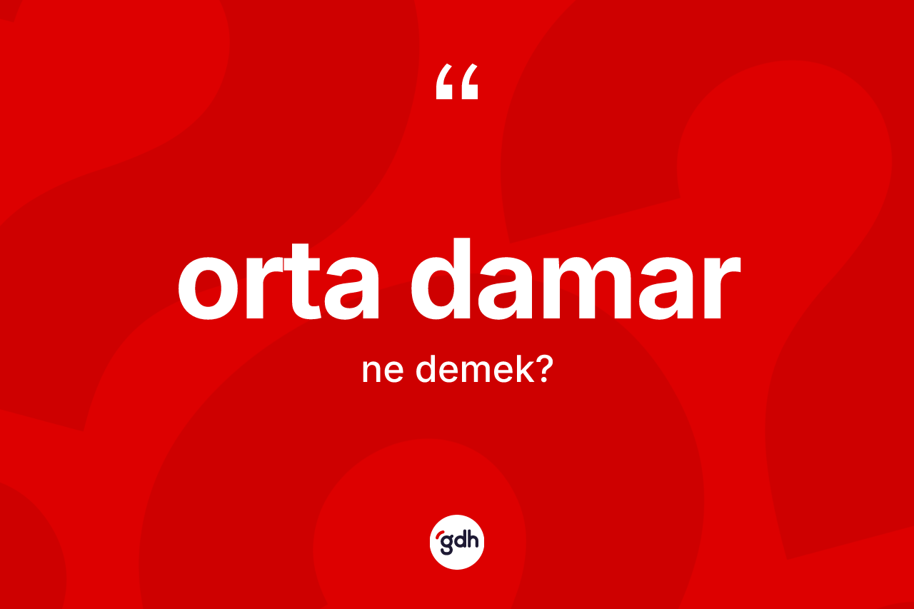 Orta damar ne demek? Orta damarın kısaca tanımı nedir?