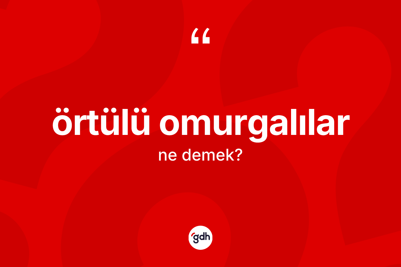 Örtülü omurgalılar kelimesi ne demek? Örtülü omurgalıların TDK'ya göre anlamı nedir?