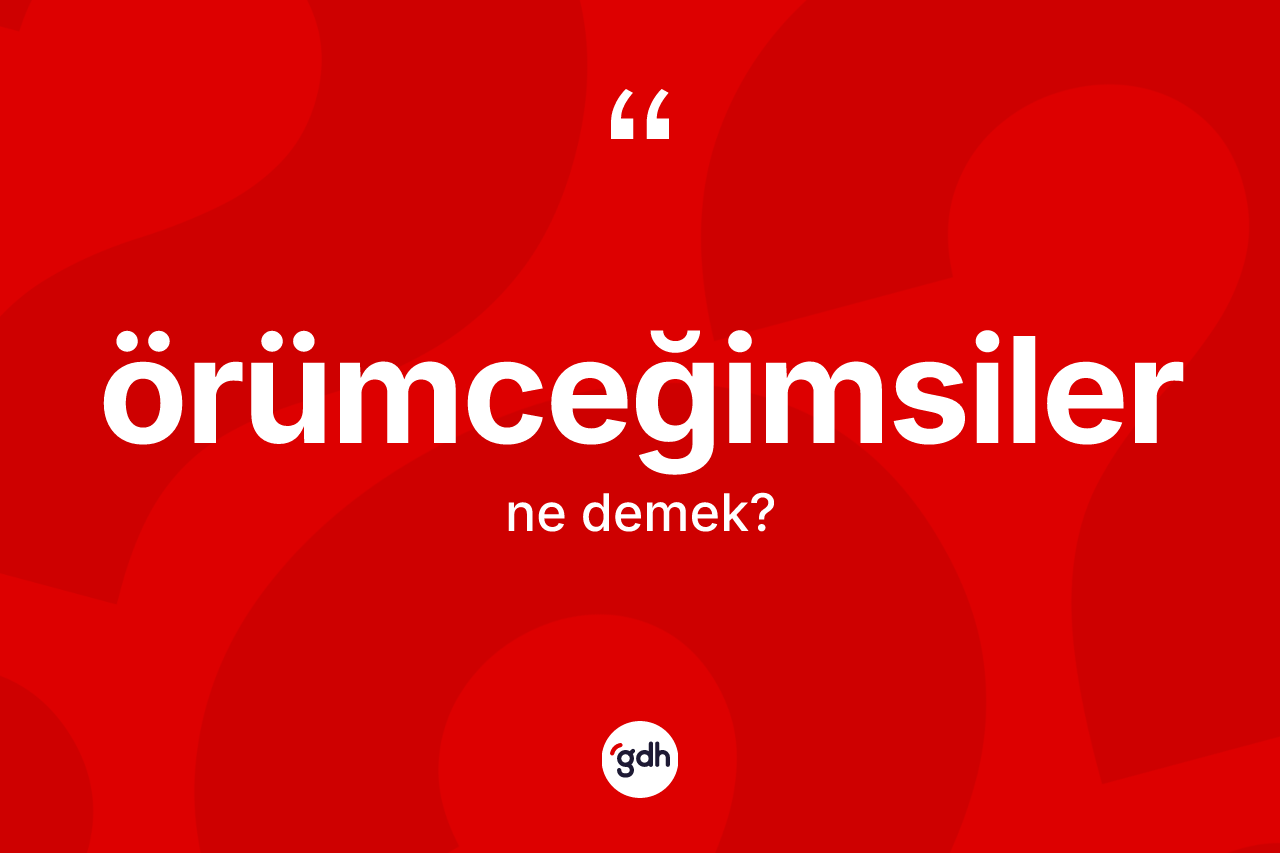 Örümceğimsiler kelimesinin anlamı nedir? Örümceğimsilerin sözlükteki anlamı nedir?