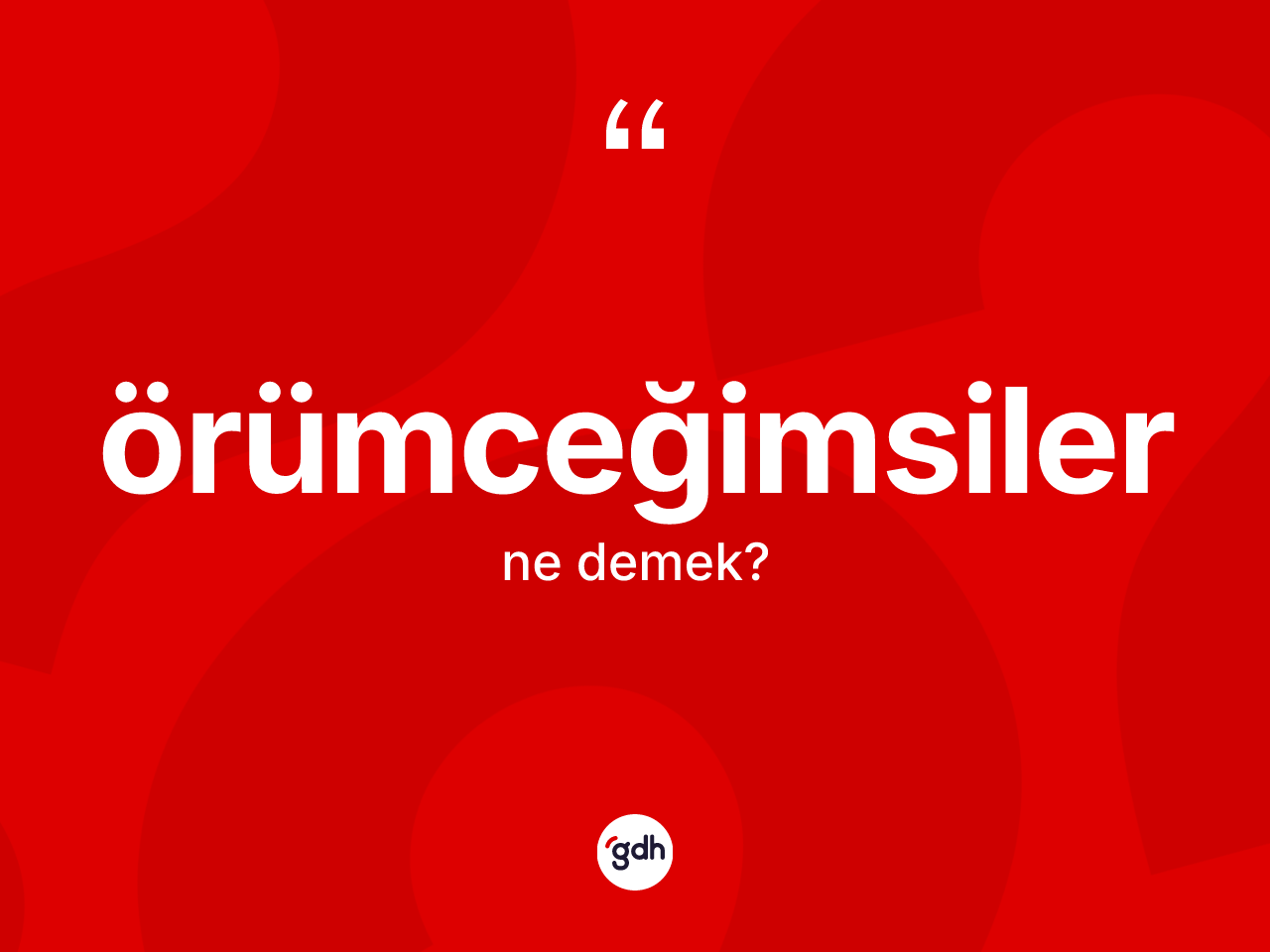 Örümceğimsiler kelimesinin anlamı nedir? Örümceğimsilerin sözlükteki anlamı nedir?