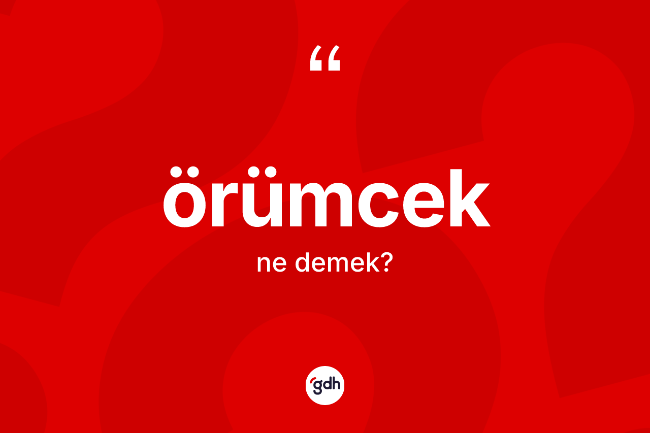 Örümcek kelimesi ne demek? Örümceğin TDK'ya göre anlamı nedir?