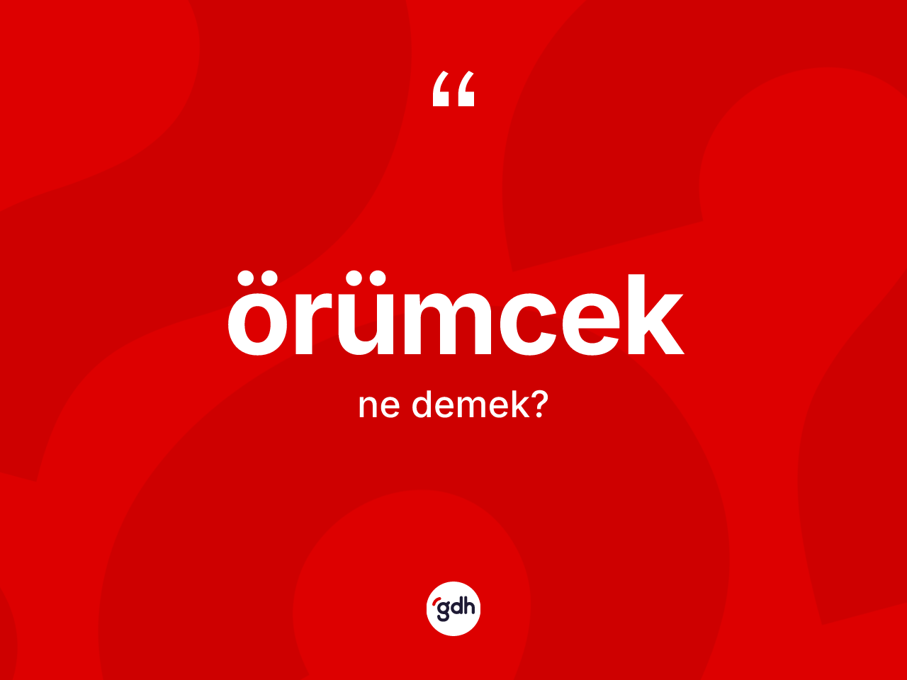 Örümcek kelimesi ne demek? Örümceğin TDK'ya göre anlamı nedir?