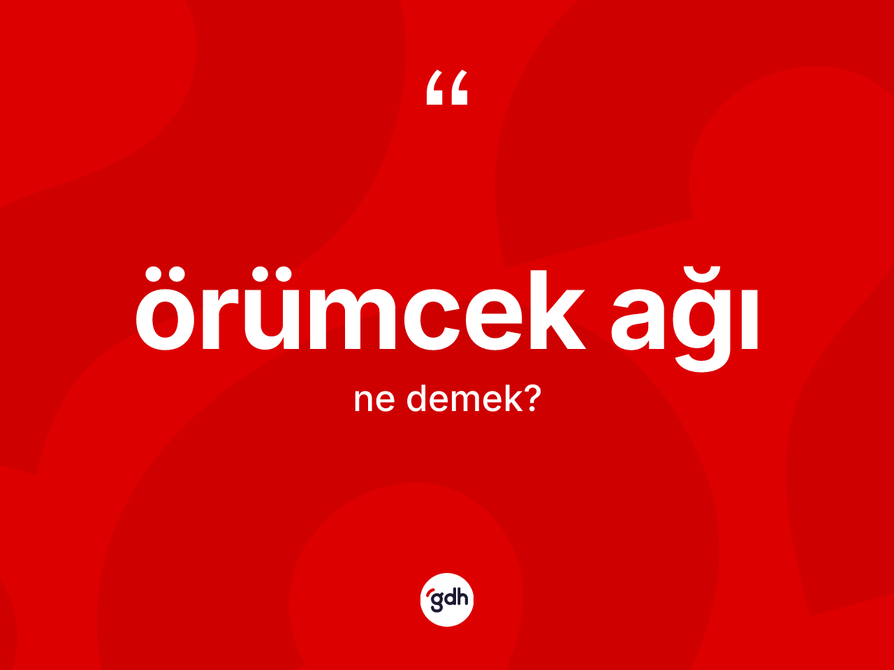 Örümcek ağı  kelimesinin sözlükteki tanımı nedir? Örümcek ağı ın TDK'ya göre anlamı nedir?