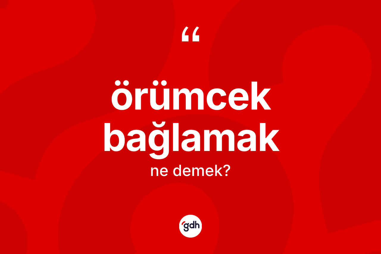 Örümcek bağlamak ifadesinin kısaca anlamı nedir? Örümcek bağlamak ifadesi hangi durumlarda kullanılır?