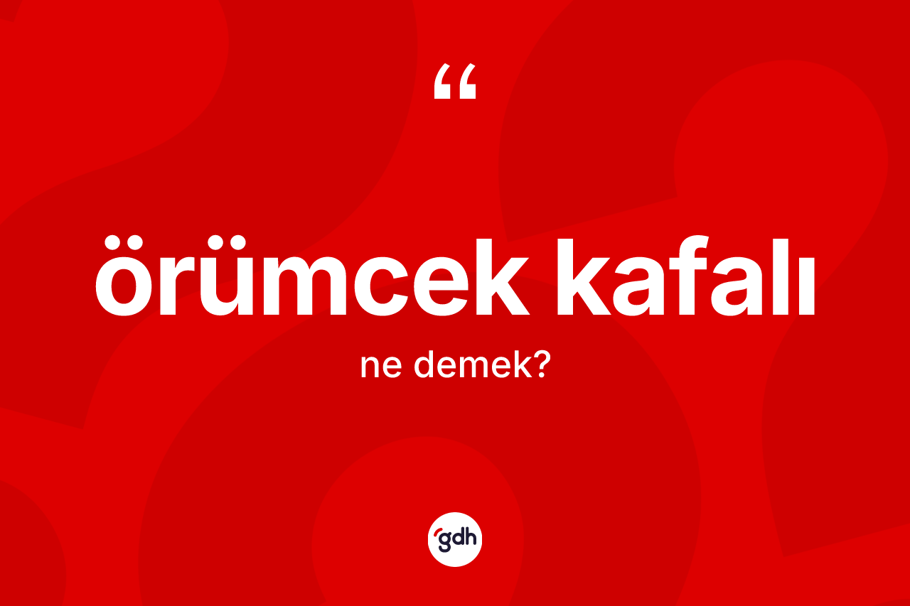 Örümcek kafalı ne anlama gelir? Örümcek kafalının kısaca tanımı nedir?