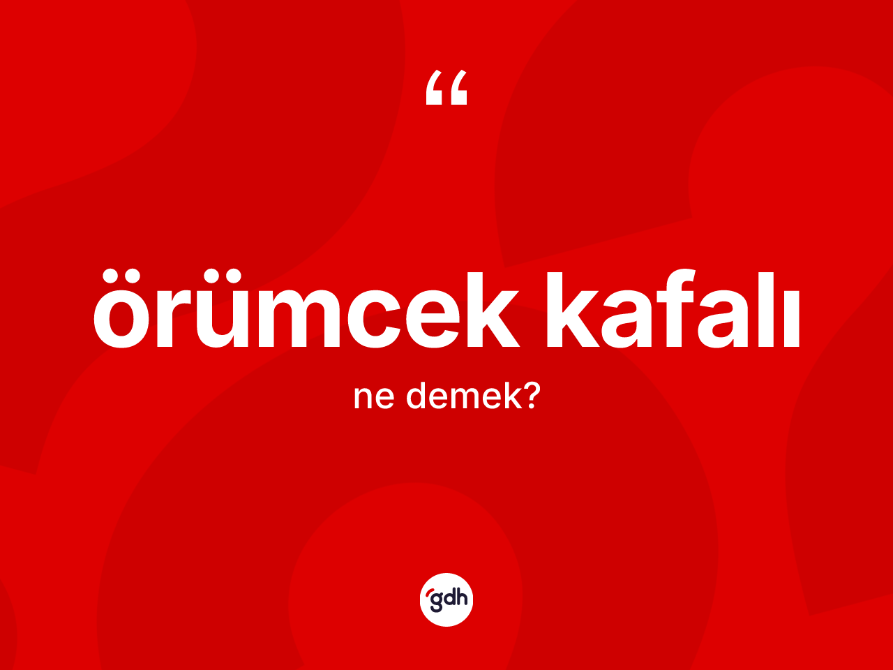 Örümcek kafalı ne anlama gelir? Örümcek kafalının kısaca tanımı nedir?