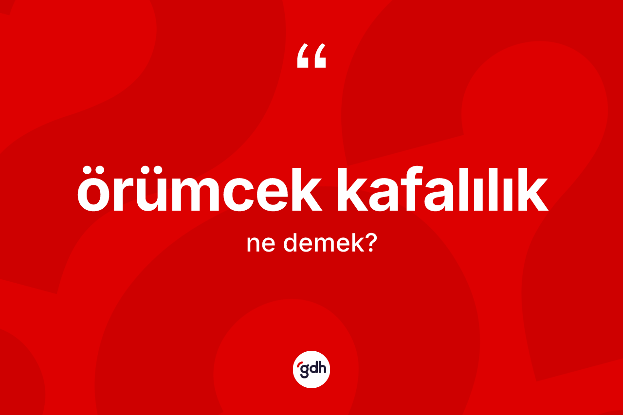 Örümcek kafalılık ne anlama gelir? Örümcek kafalılığın TDK'ya göre anlamı nedir?