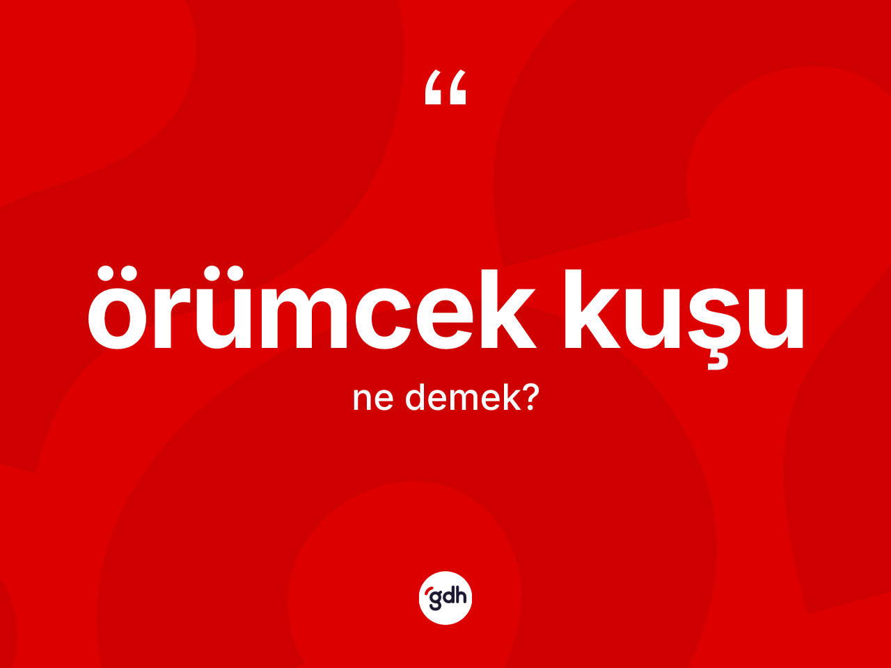 Örümcek kuşu kelimesi ne anlama gelir? Örümcek kuşunun kısaca tanımı nedir?