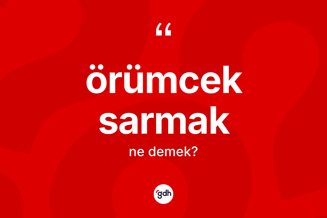 Örümcek sarmak sözü ne anlama gelir? Örümcek sarmak sözünün TDK anlamı nedir?