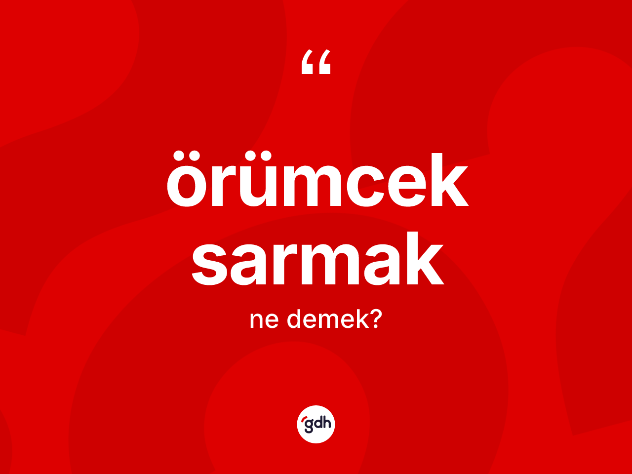 Örümcek sarmak sözü ne anlama gelir? Örümcek sarmak sözünün TDK anlamı nedir?