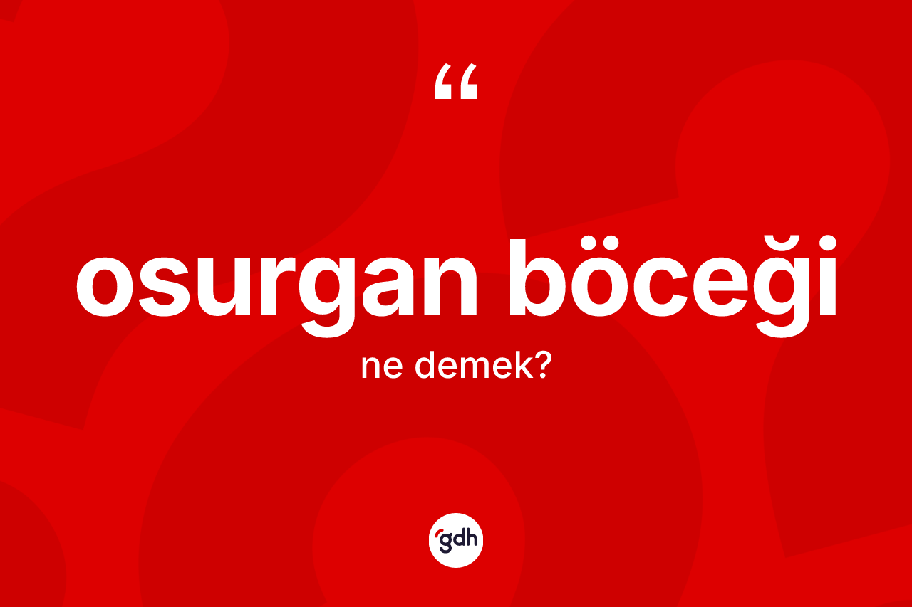 Osurgan böceği ne demek? Osurgan böceğinin halk arasındaki kullanımı nasıldır?