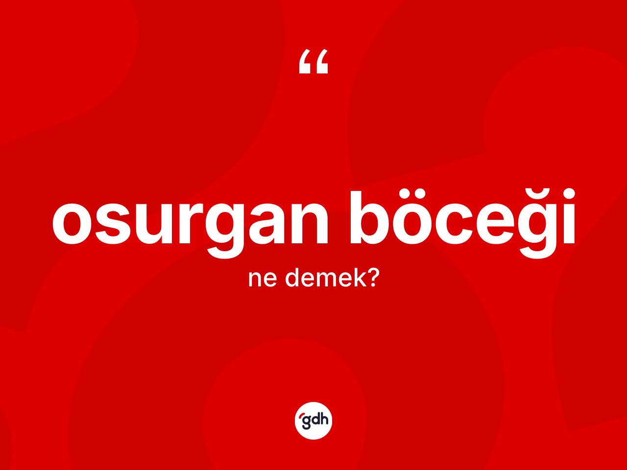 Osurgan böceği ne demek? Osurgan böceğinin halk arasındaki kullanımı nasıldır?